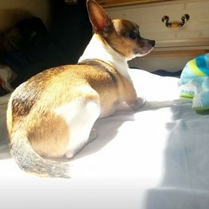 Meet your Posher, Mark